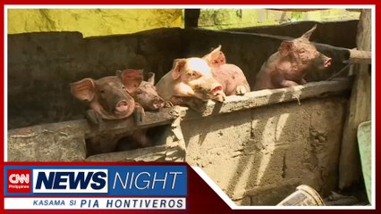 State of calamity dapat na raw ideklara para may pondo sa ASF vaccine