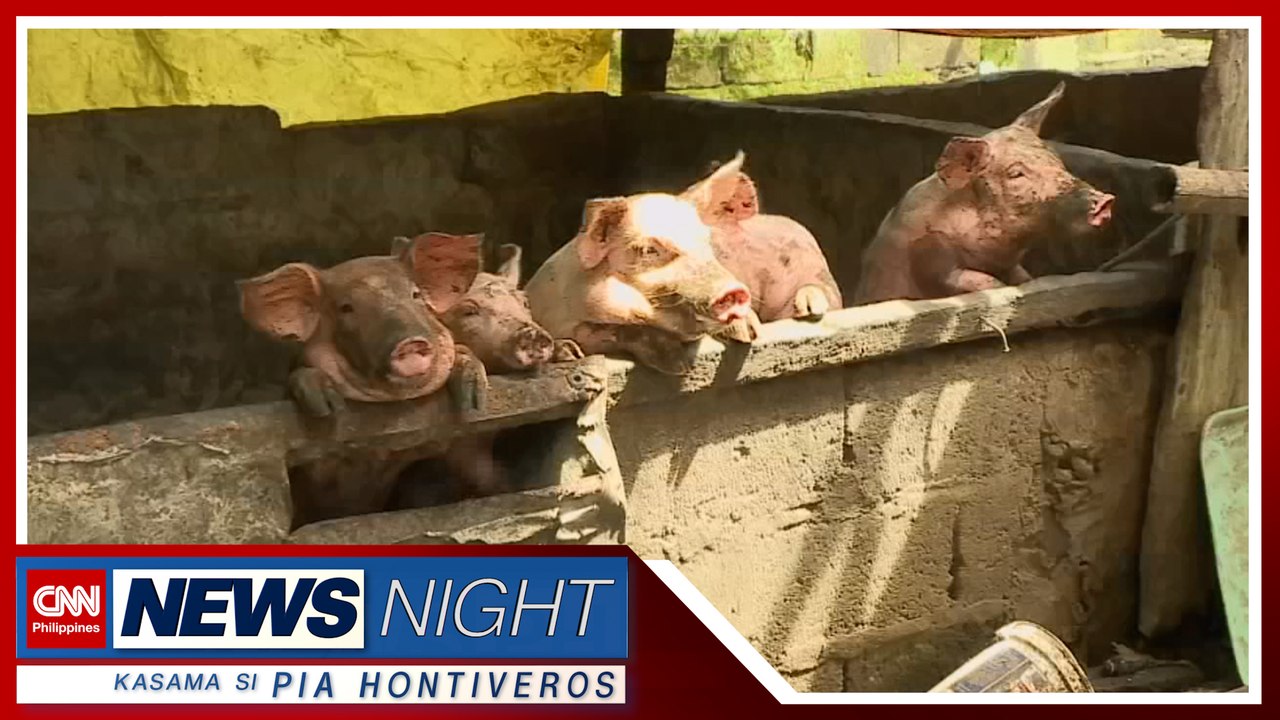 State of calamity dapat na raw ideklara para may pondo sa ASF vaccine