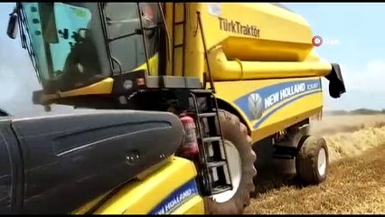 Osmaniye'de Buğday Fiyatı ve Verimi Çiftçileri Sevindirdi