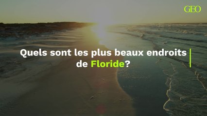 Floride : quels sont les plus beaux endroits de cet état ?
