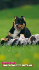 ✅Música instrumental para relaxar e estudar #Shorts