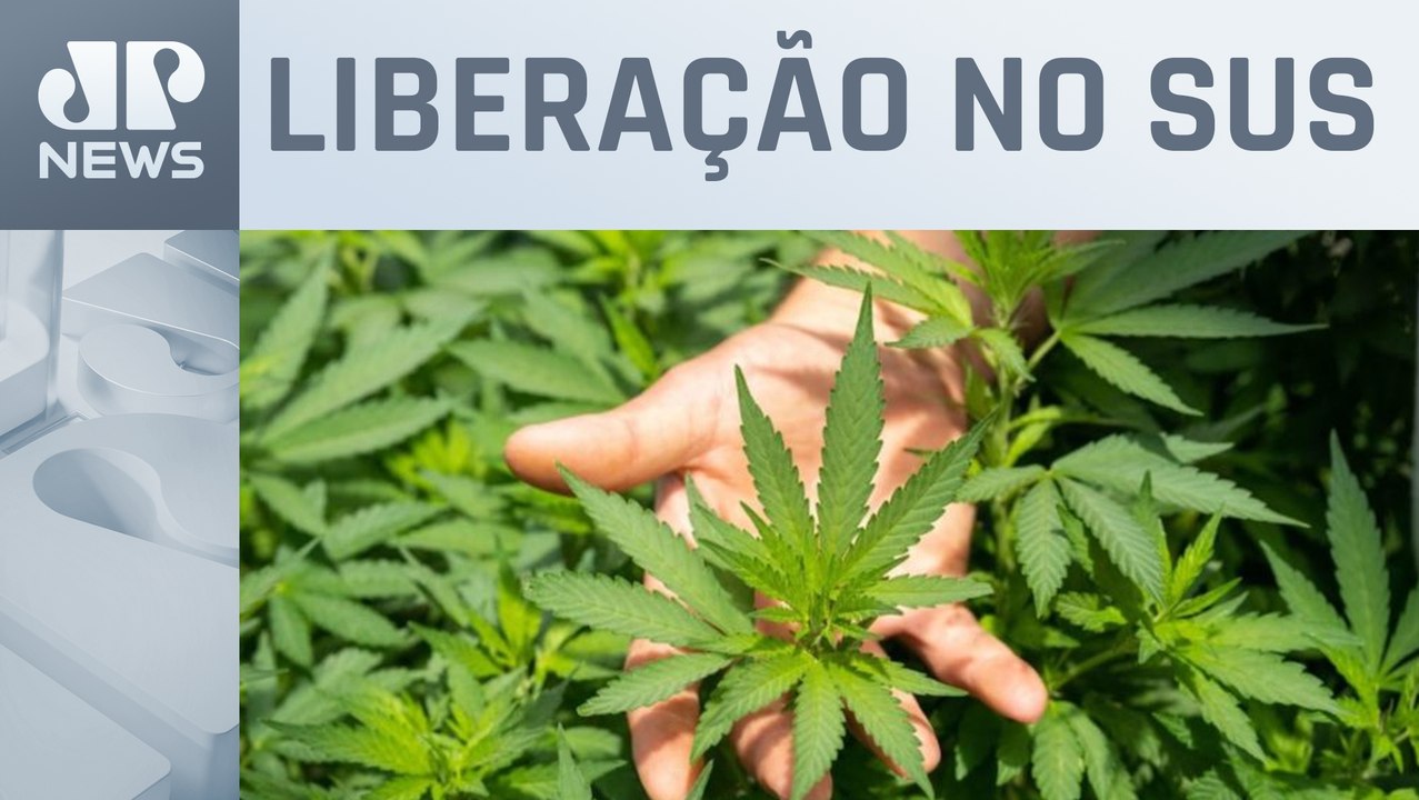 SP libera uso do canabidiol para síndromes raras