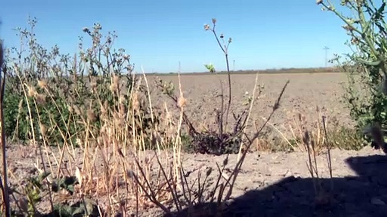 El verano de 2023 será más caluroso de lo normal y más lluvioso