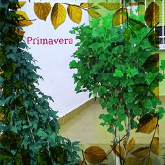 video Ana ‐ Paseo por el barrio