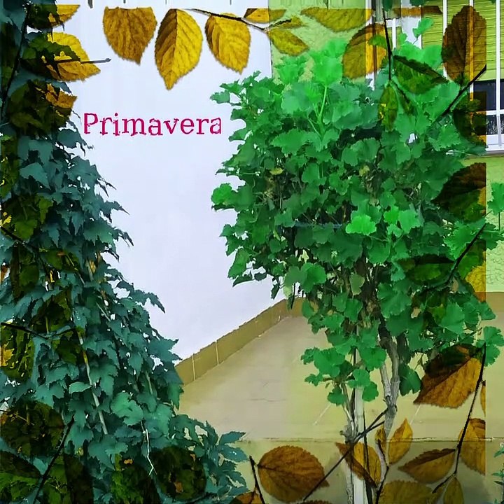 video Ana ‐ Paseo por el barrio
