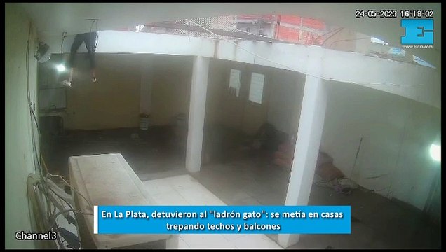 En La Plata, detuvieron al ladrón gato : se metía en casas trepando techos y balcones