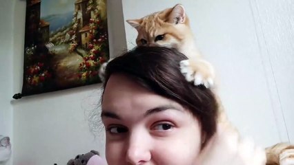 The same moment when you have cheeks like William's cat  Quarantine - _Thank You_