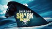 Shark Bites 'Jackass' Star Poopies | Shark Week