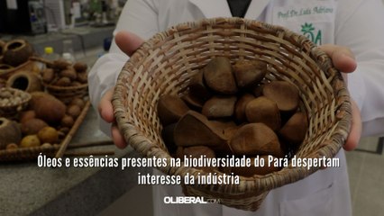 Óleos e essências presentes na biodiversidade do Pará despertam interesse da indústria