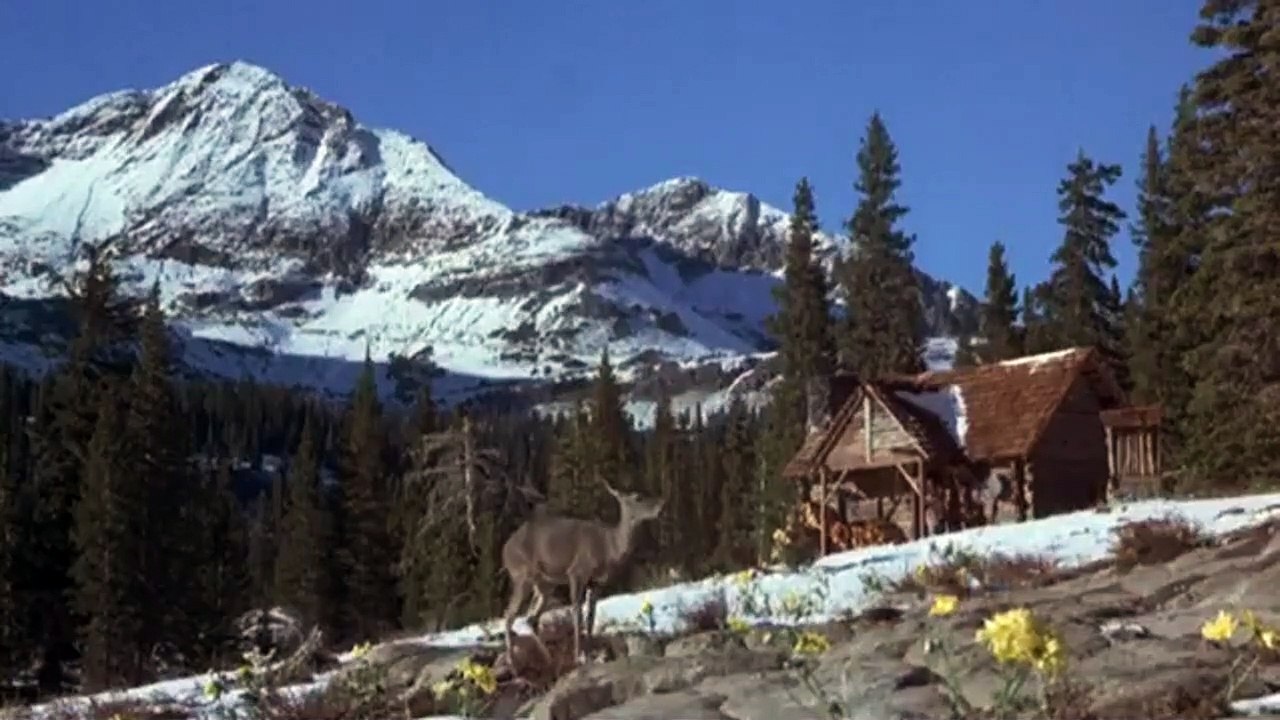 Weitere Abenteuer der Familie Robinson in der Wildnis Trailer OV