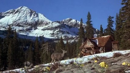 Weitere Abenteuer der Familie Robinson in der Wildnis Trailer OV