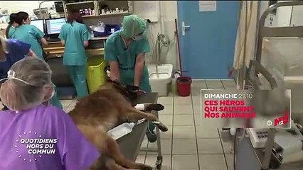 Quotidiens hors du commun - 11 juin