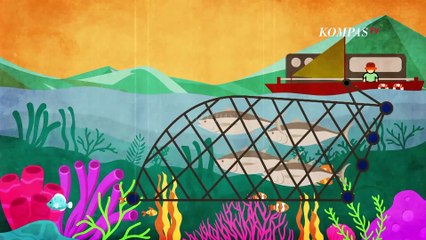 [UNCUT] Negara Merugi Akibat Merkuri Meracuni Pangan | BERKAS KOMPAS