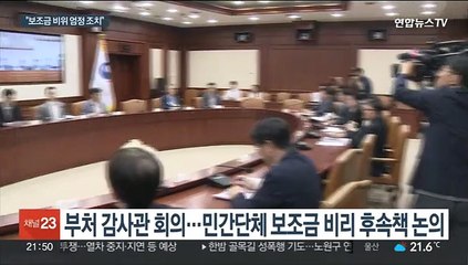 정부 "보조금 비위 신속 수사의뢰…방만 예산 폐지"
