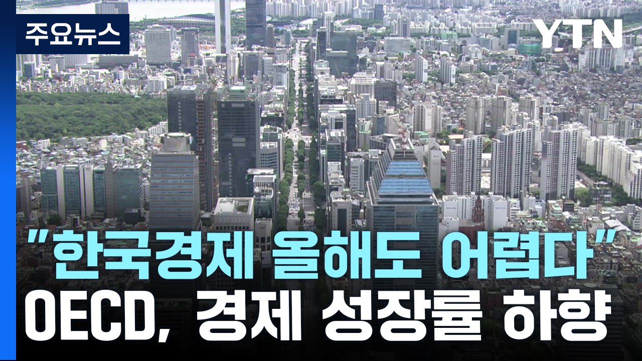 세계 경제 전망치 상승했지만 한국은 하락...내년도 어렵다 / YTN