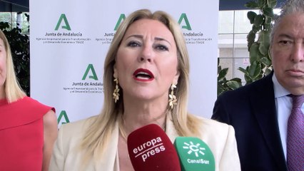 下载视频: El empresariado andaluz se incorpora a los órganos de decisión de Andalucía Trade