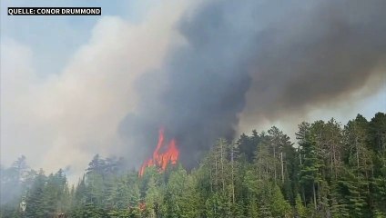 Québec ist neues Zentrum der Waldbrände in Kanada
