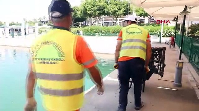 Nettoyage des fonds marins effectué à Mersin