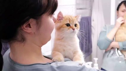 The bravest kitten in the world _ First bath