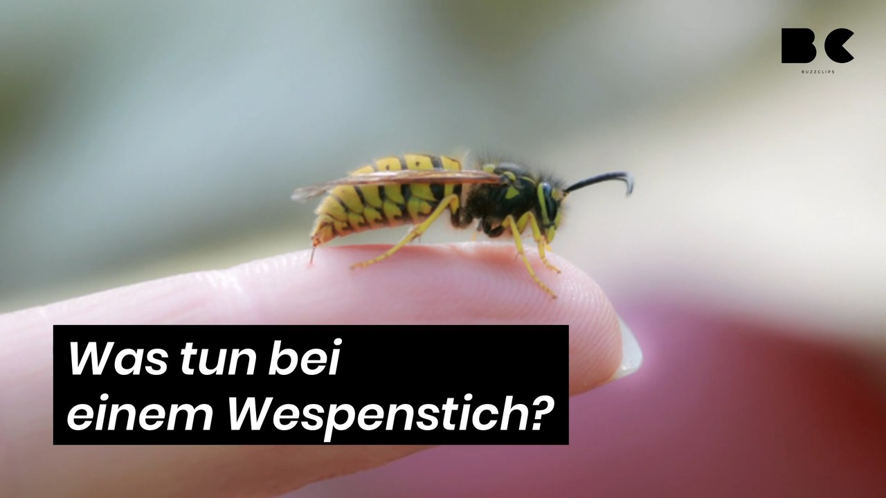 Was tun bei einem Wespenstich?