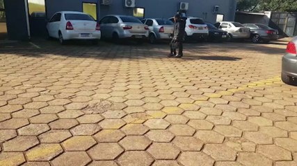 Caso Daiane de Jesus: familiares da vítima prestam depoimento na DH