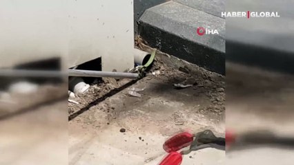 İstasyona giren yılanı deliğinden çıkardığı anlar gündem oldu