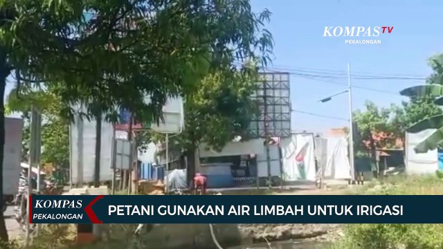 Petani di Brebes Gunakan Air Limbah untuk Irigasi di Musim Kemarau