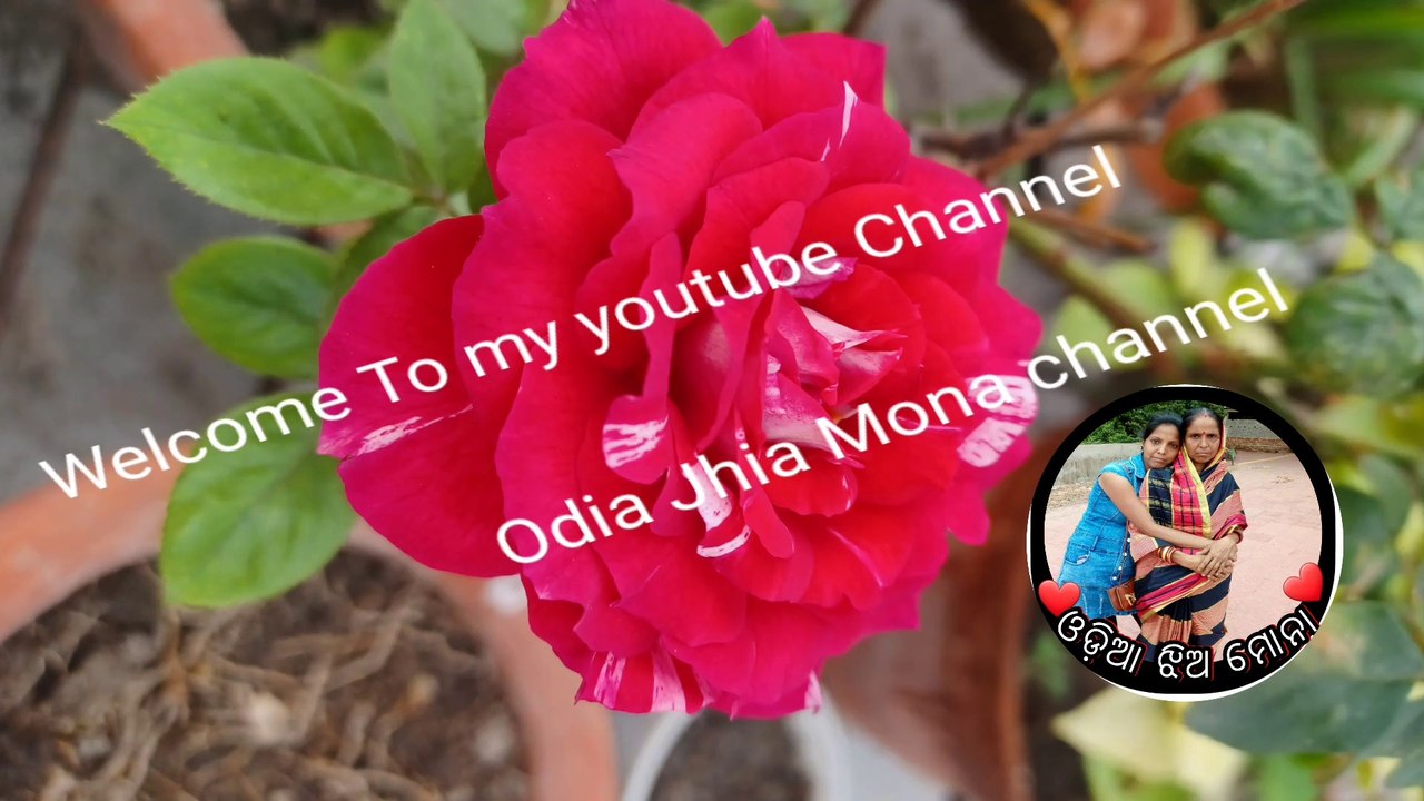 କାଳ ବୈଶାଖୀ ସବୁ ଭାଙ୍ଗି ଦେଲା | କୋଲକାତାର କାଳ ବୈଶାଖୀ | Odia vlogger in kolkata | New Odia Vlog