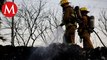 Más de 400 brigadistas combaten incendio forestal en el cerro de Patamban
