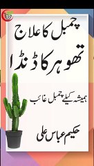 chambel THOR viral short video #dailymotion