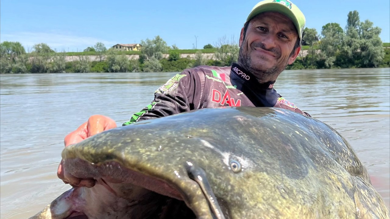 Überraschender fund: rekord-wels in italien gefangen