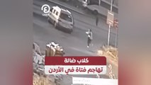 كلاب ضالة تهاجم فتاة في الأردن