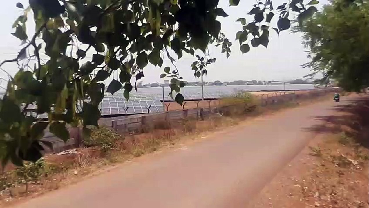 देखो.. सोलर प्लांट 50 मेगावाट बिजली उत्पादन कर...