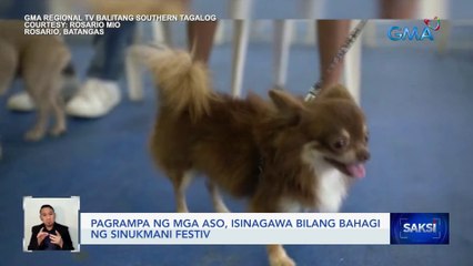 Pagrampa ng mga aso, isinagawa bilang bahagi ng Sinukmani Festival | Saksi