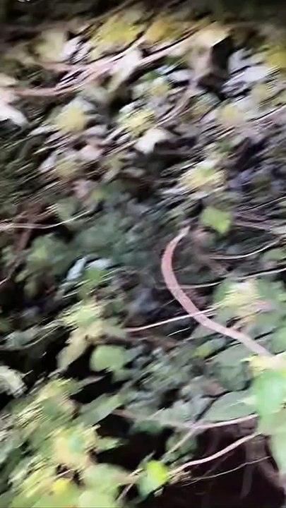 Paranormal activity ghost on camera part 144