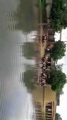 प्रदेश के इस जिले में जलादोहन से सूख गई धरती पर सोती रही सरकार