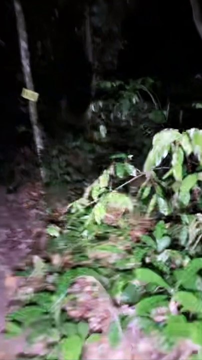 Paranormal activity ghost on camera part 145