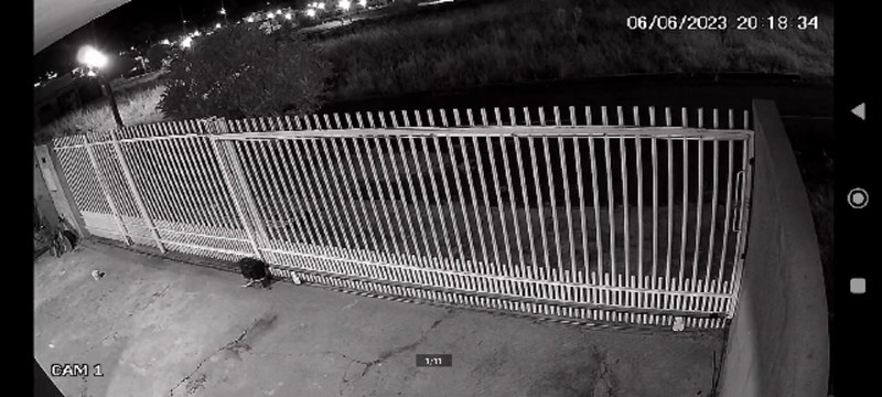 Meteoro causa clarão nos céus de Douradina e várias cidades da região