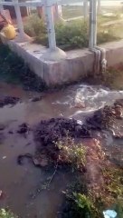 Jal jivan Mission Gourela chhatisgarh