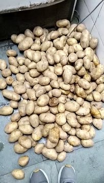 Video... Ahmedabad.... खाद्य सामग्री की 11 दुकान सील