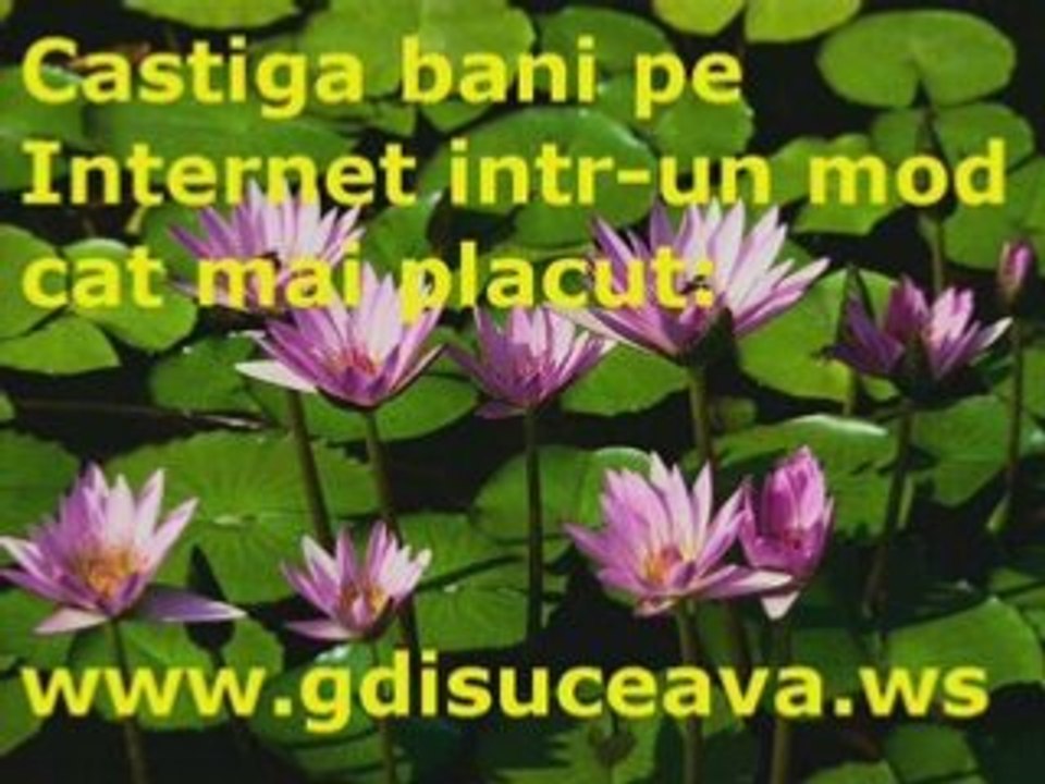 ADI DE LA VALCEA - E ultima melodie (live)