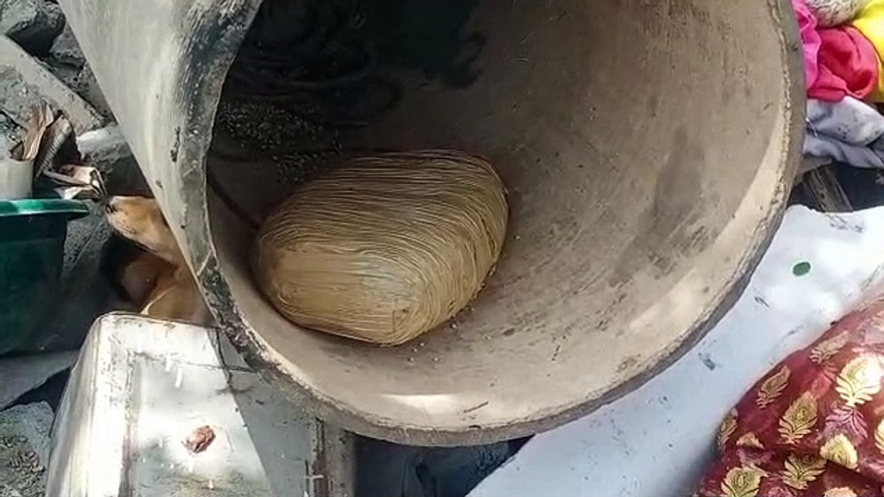 अवैध हथियार के बाद अब एक किलो गांजा मिला, वन वि...