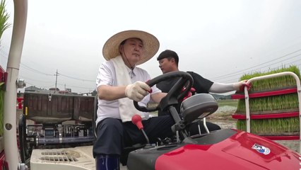 尹, 이앙기 타고 모내기...새참 먹으며 농업인 격려 / YTN
