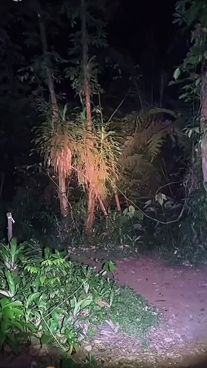 Paranormal activity ghost on camera part 147
