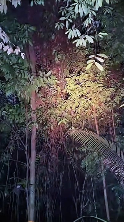Paranormal activity ghost on camera part 148
