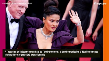 Salma Hayek dévoile l'incroyable ranch secret en pleine nature investi avec son mari François-Henri Pinault