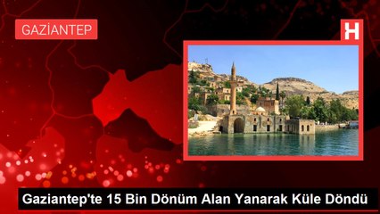 Gaziantep'te 15 Bin Dönüm Alan Yanarak Küle Döndü