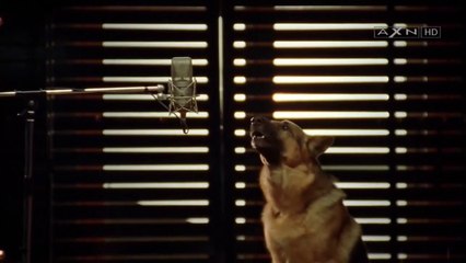 Υπαστυνόμος Ρεξ [S07E10] - Σκοτεινά Κυκλώματα