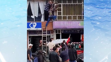 "Por perseguir un gato": Un perro quedó colgando en cables de electricidad