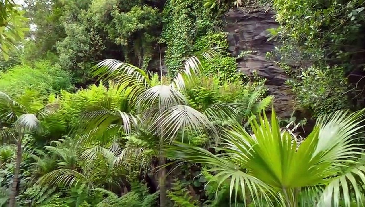 10 verrückte Dinge, die Wissenschaft nicht erklären kann